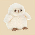 Apollo Owl