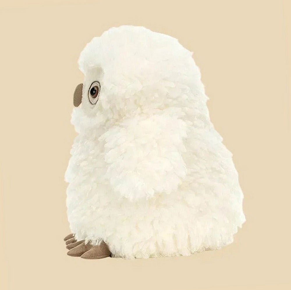 Apollo Owl