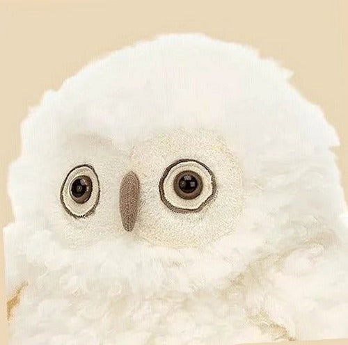 Apollo Owl