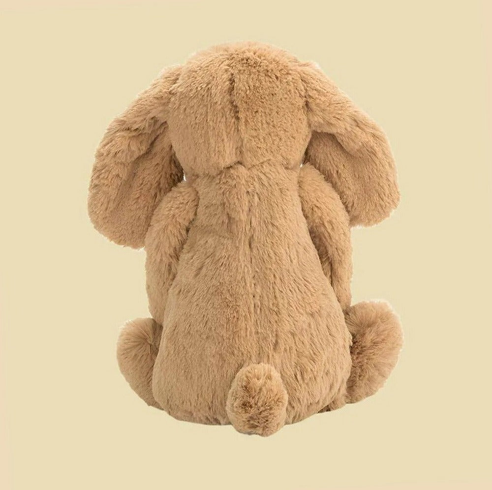 Bashful Toffee Puppy