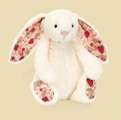 Blossom – The Plush Studios