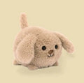Caboodle Puppy