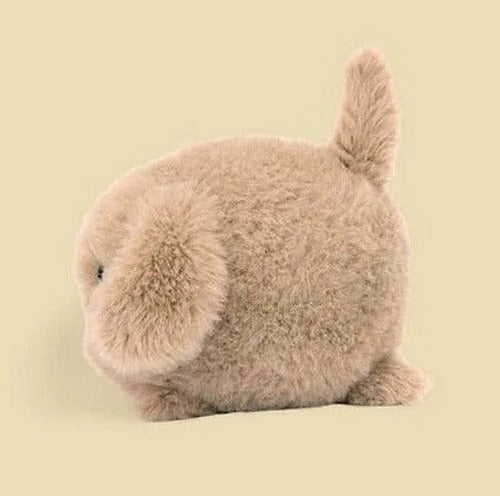 Caboodle Puppy
