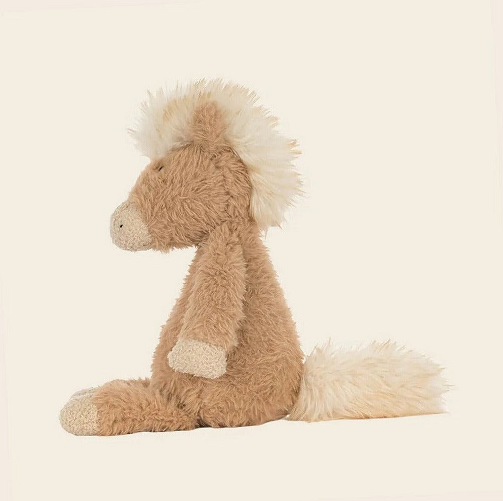 Canterneigh Pony