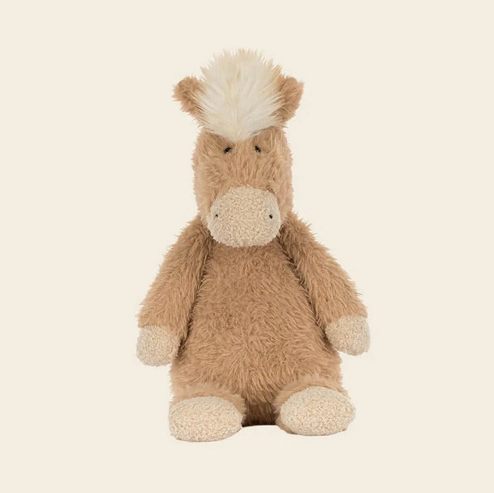 Canterneigh Pony