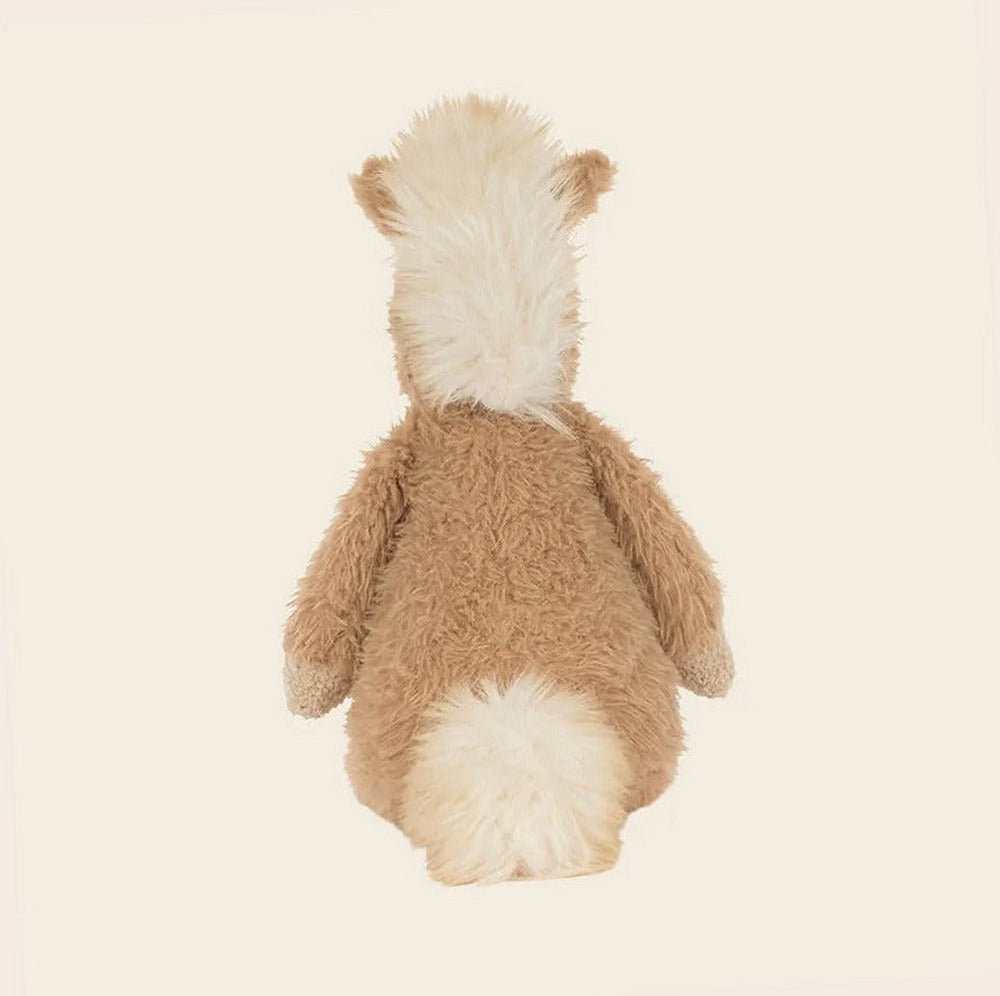 Canterneigh Pony