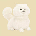 Carissa Persian Cat