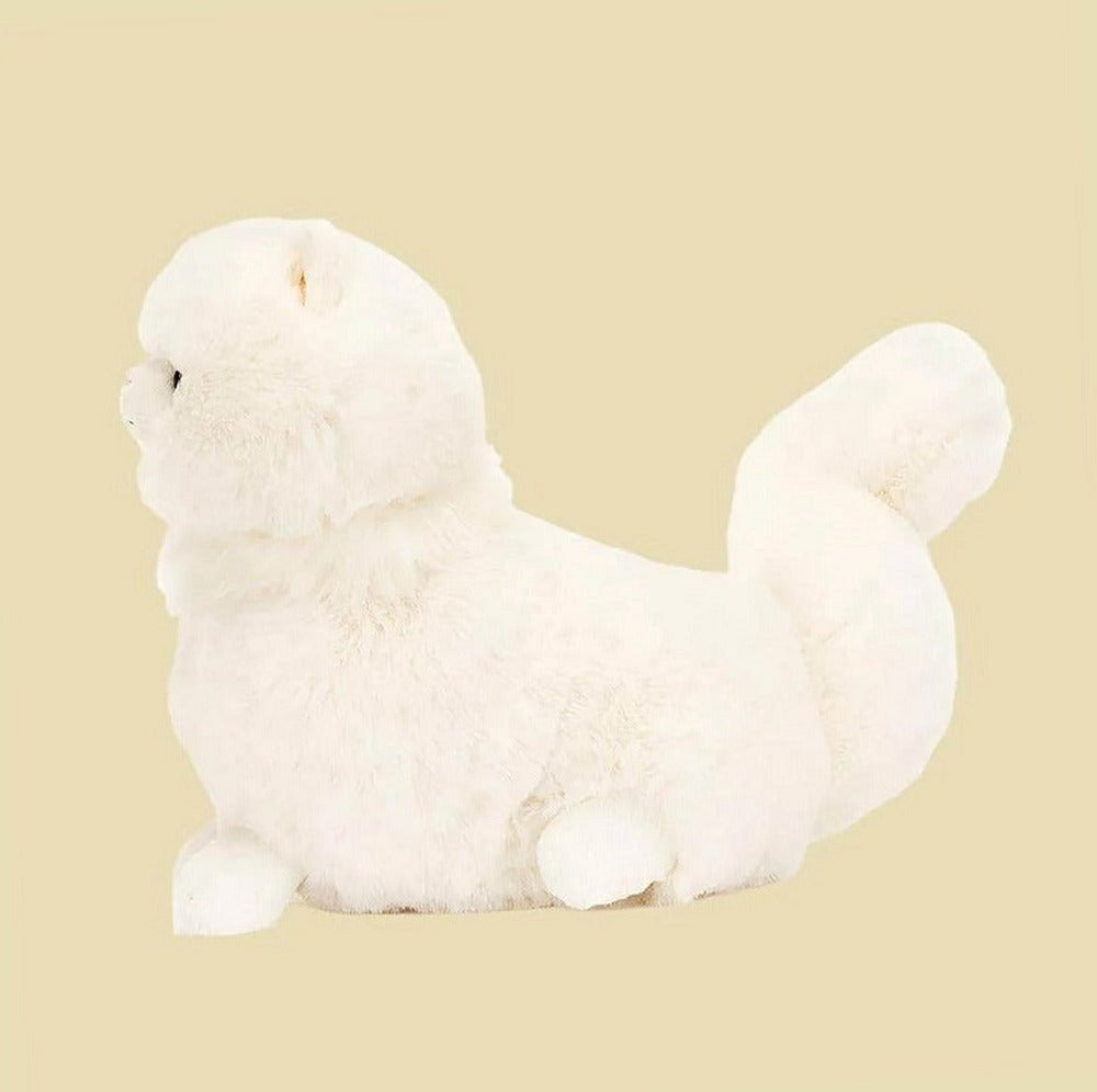 Carissa Persian Cat