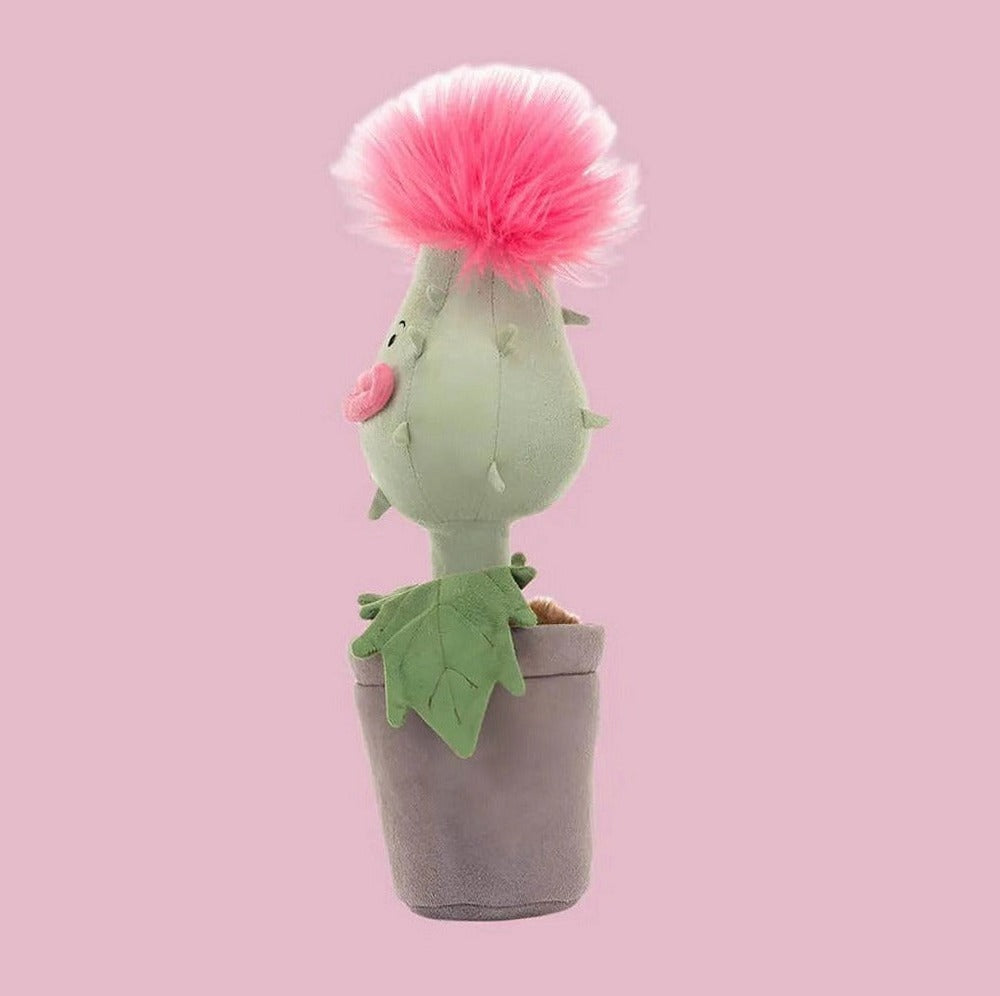 Carniflore Priscilla