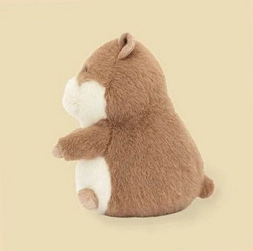 Gordy Guinea Pig