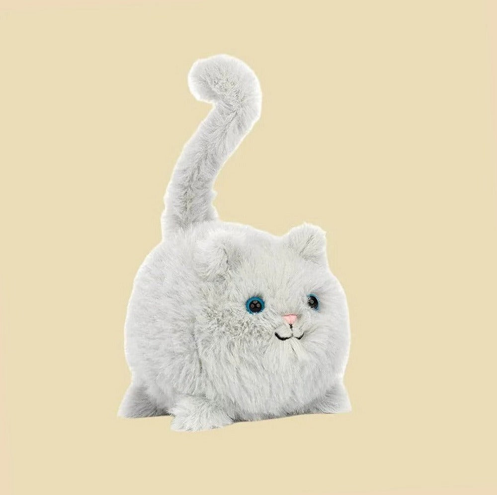 Kitten Caboodle