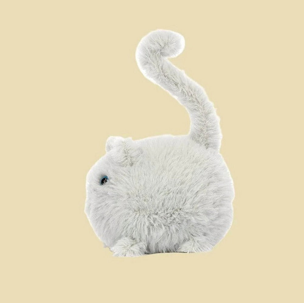 Kitten Caboodle