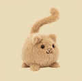 Kitten Caboodle Ginger