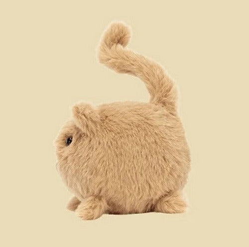 Kitten Caboodle Ginger