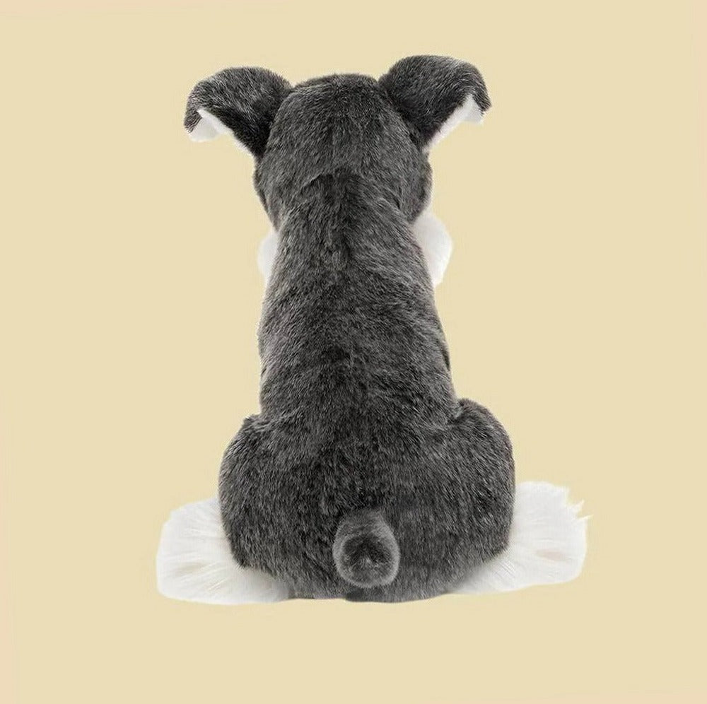 Lawrence Schnauzer