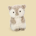 Little Owl