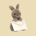 Messenger Bunny