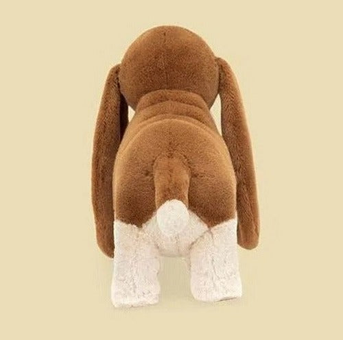 Randall Basset Hound