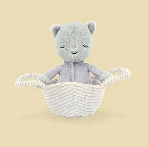 Rock - a - Bye Kitten