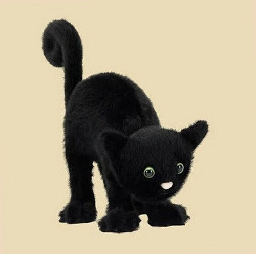 Spookipaws Cat