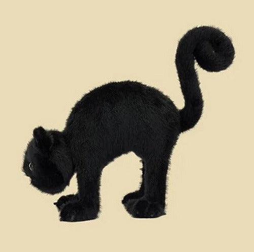 Spookipaws Cat