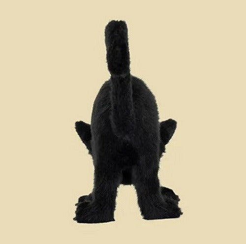 Spookipaws Cat