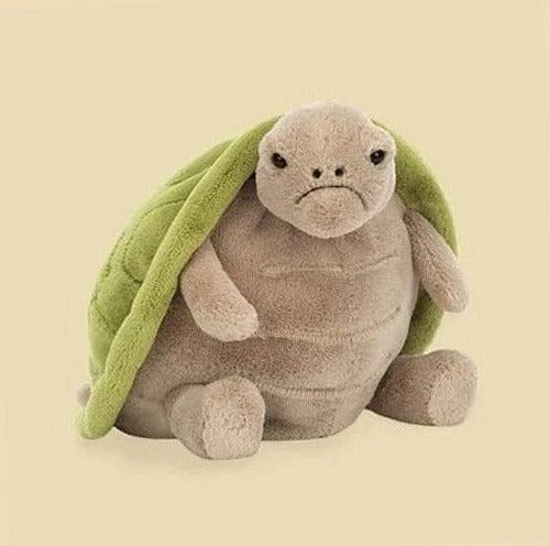 Timmy Turtle