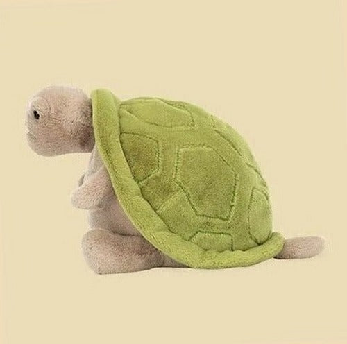 Timmy Turtle