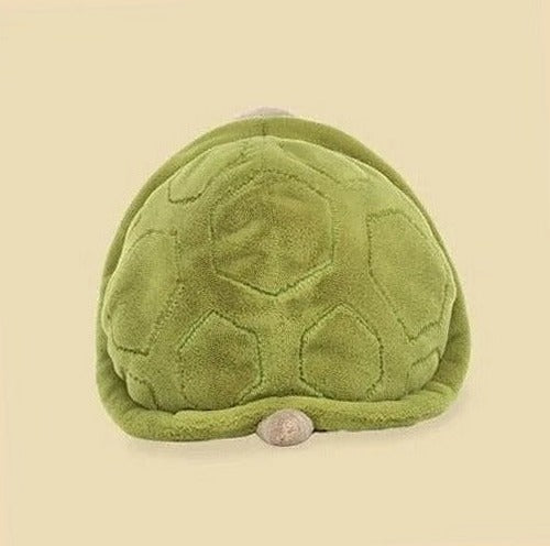 Timmy Turtle