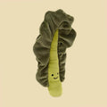 Vivacious Vegetable Kale Leaf