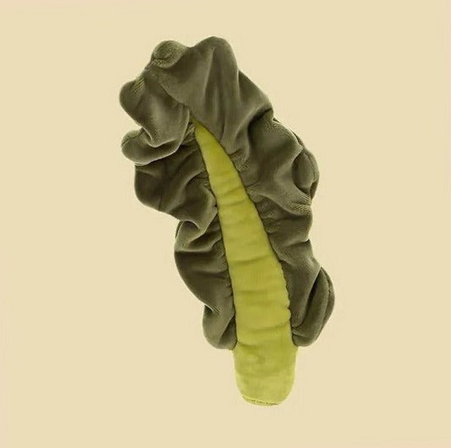 Vivacious Vegetable Kale Leaf